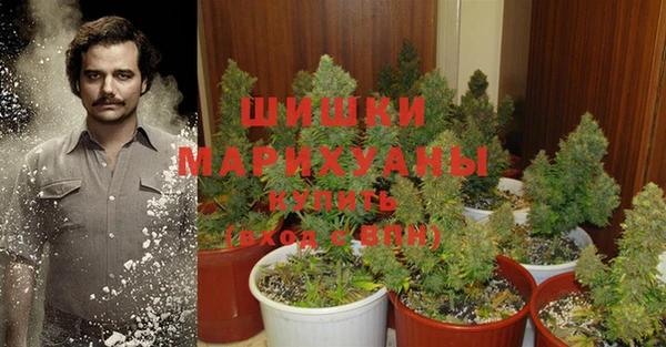 круглые Ельня