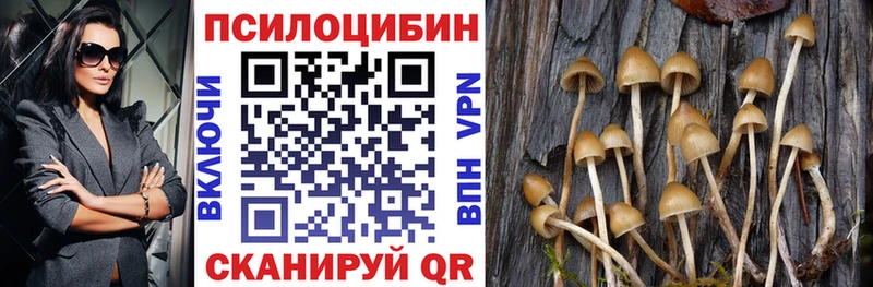 Купить  Нестеровская  Псилоцибиновые грибы ЛСД 